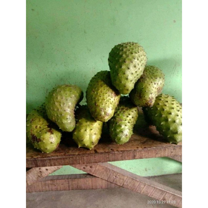 

BUAH SIRSAK MANIS DAN SEGAR 1 KG