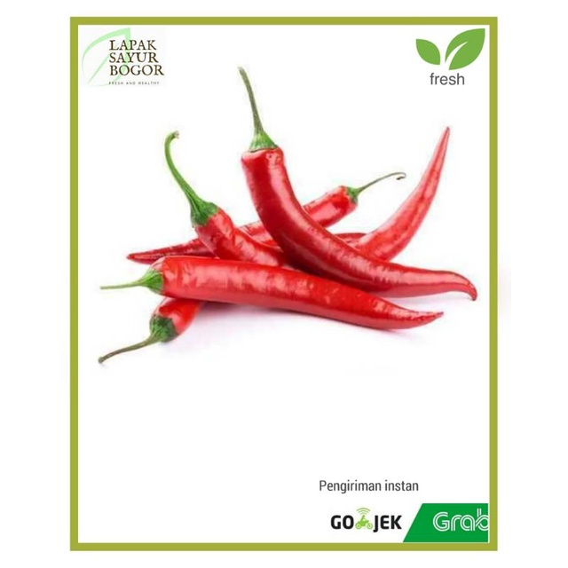 

Cabe merah besar segar sayur bogor