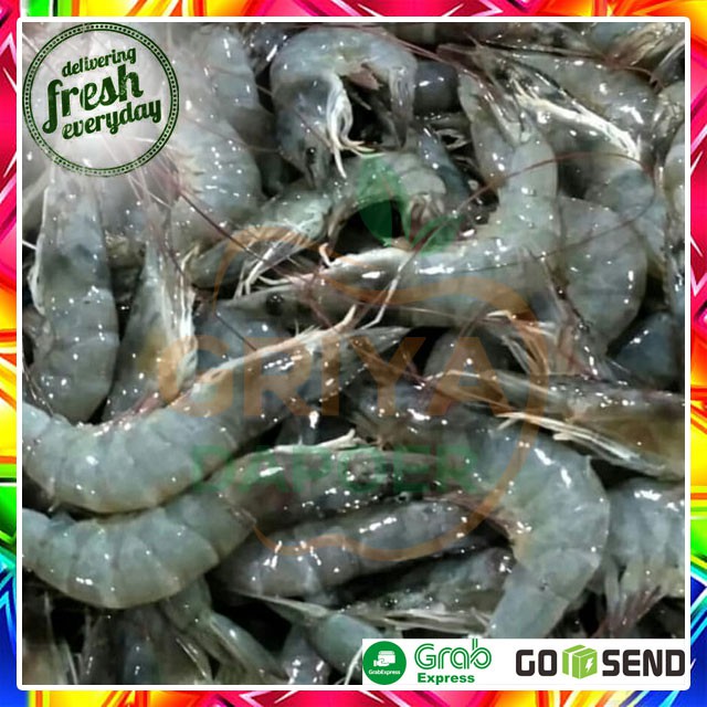 

UDANG SEGAR - 250 GRAM