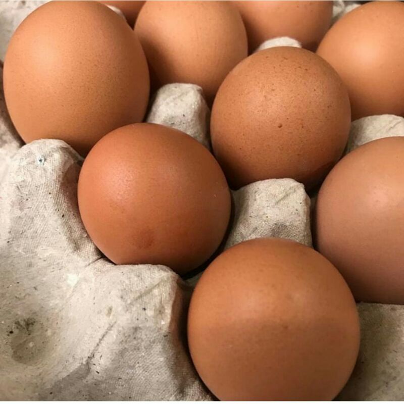 

telur ayam negri 250gr