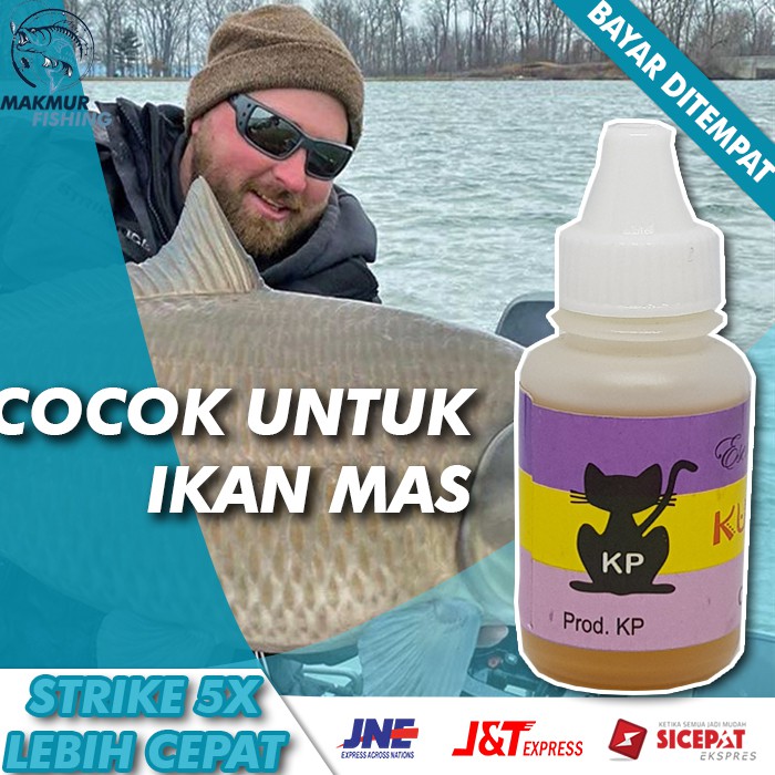 Essen Ikan Mas Paling Ampuh dan Paling Jitu