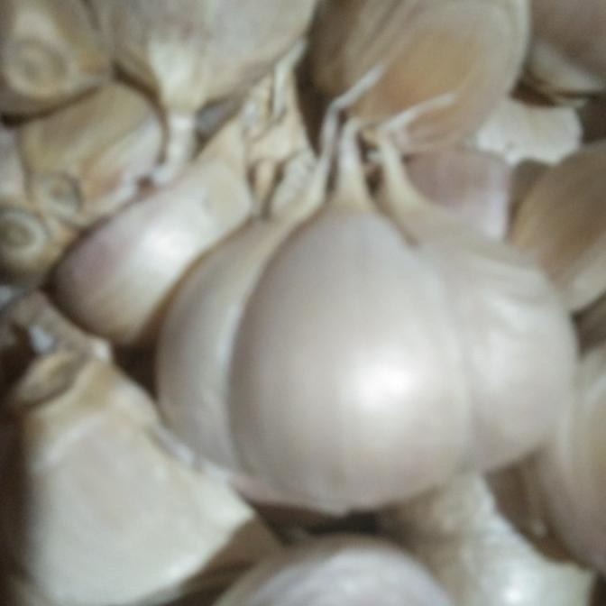 

[[COD]] bawang putih kating bersih 1 kg OBRAL Kode 400