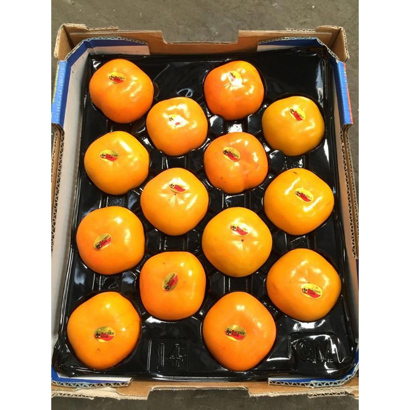 Jual Persimmon Import 1kg Shopee Indonesia