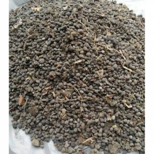 Pupuk kandang murni - pupuk kandang kambing