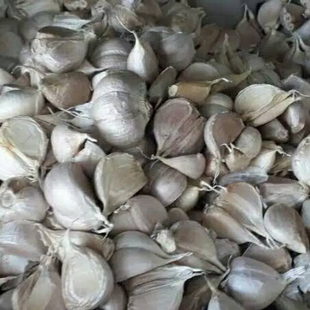 

Bawang puth honan atau BANCI 1KILO BERSIH ,hanya 19.000