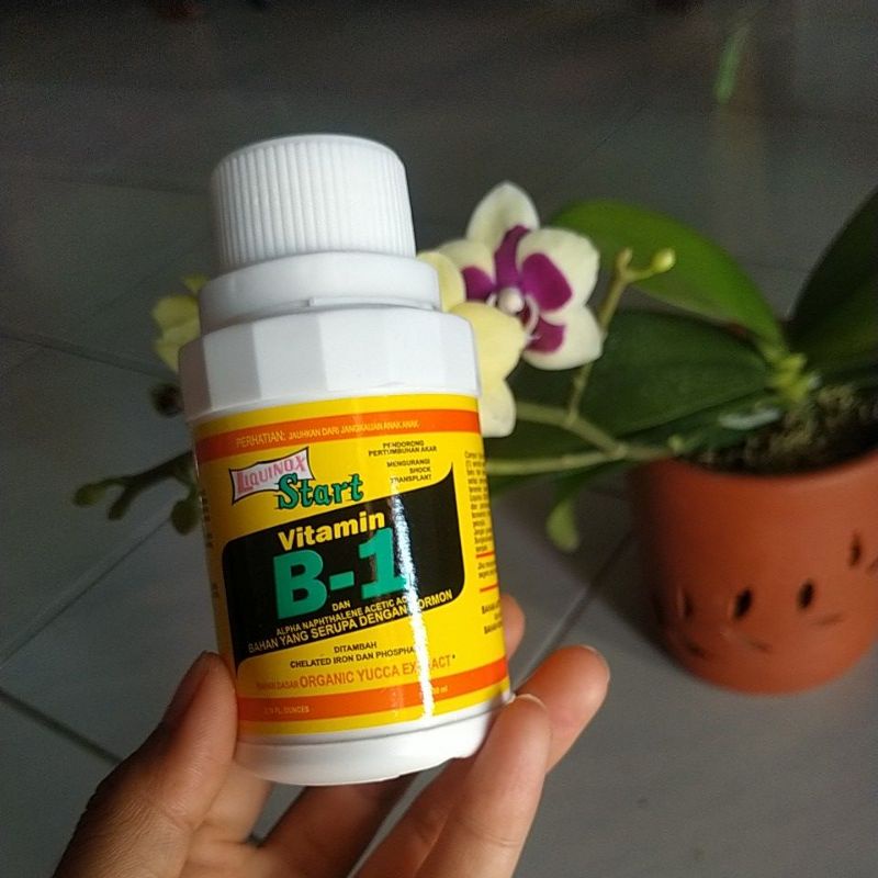 pupuk vitamin B1 untuk tanaman ASLI