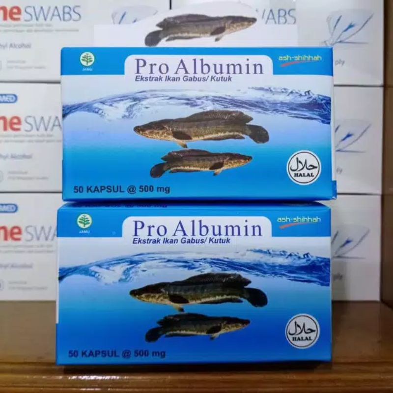 Pro Albumin Minyak ikan Gabus