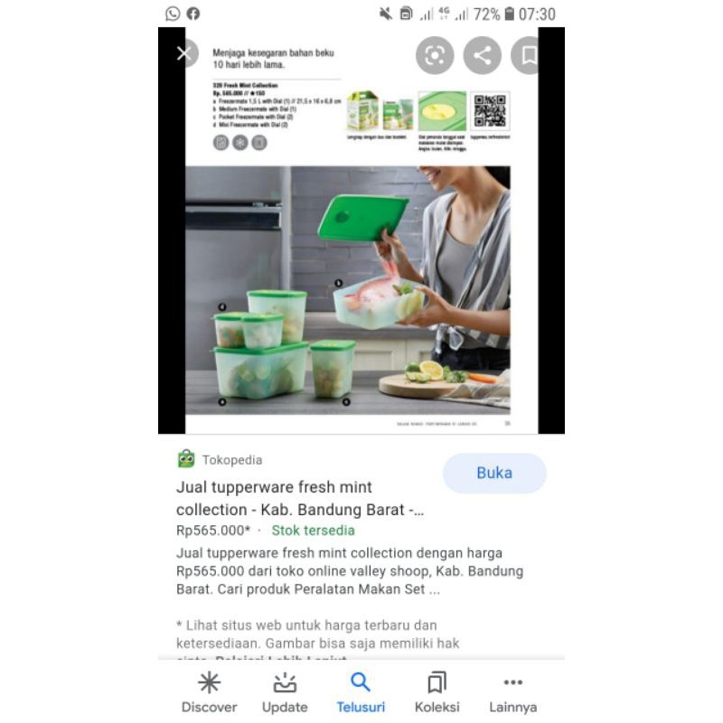 Tupperware - fresh mint collection