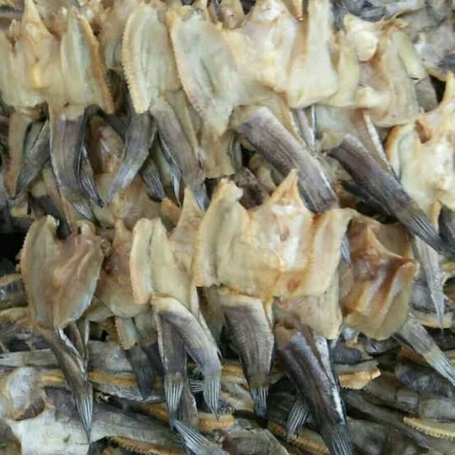 

ikan gabus super 100gr