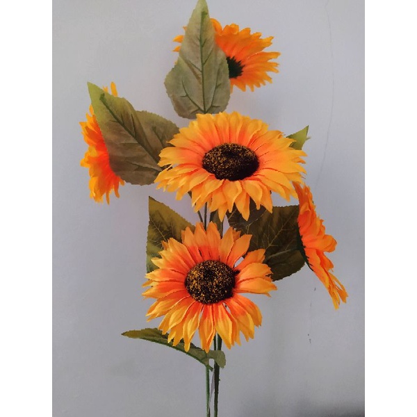 Bunga Matahari | Bunga sudut | Bunga Hias