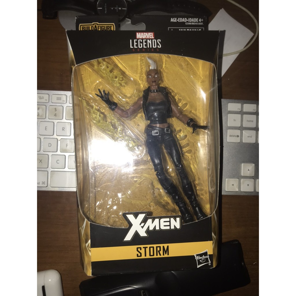 Action Figure Marvel Legends Storm