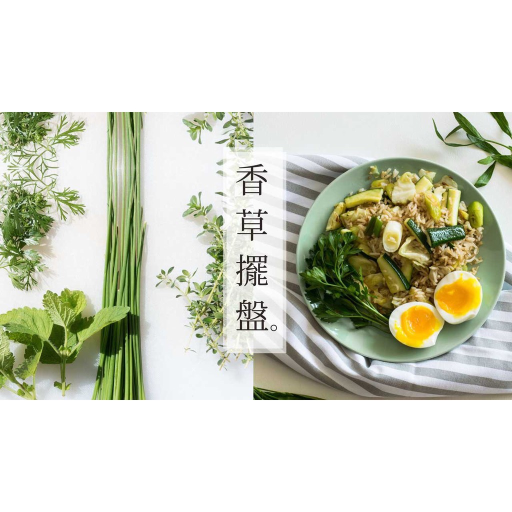 Daun Sereh Batang Daun Serei Kering xiang cao 50 g
