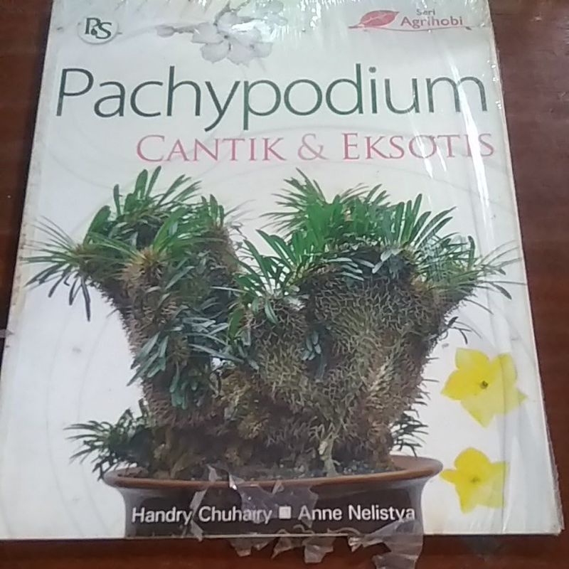 pachypodium