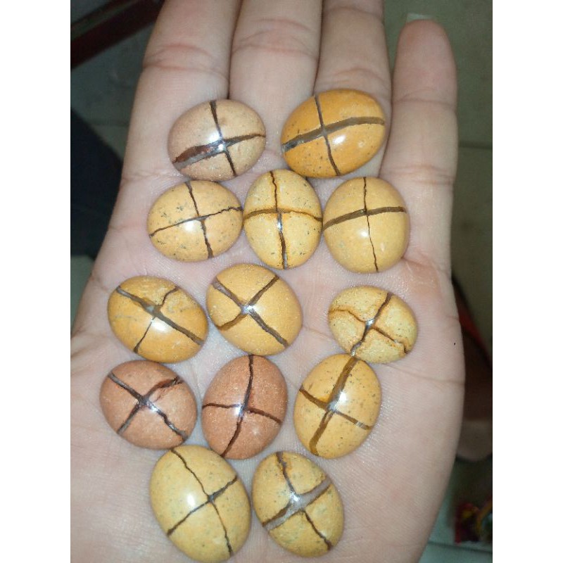 badar asem tapak jalak