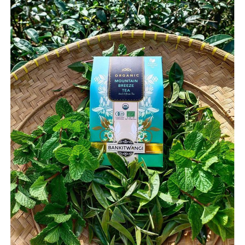 

organic mountain breeze bankitwangi tea 24 gr