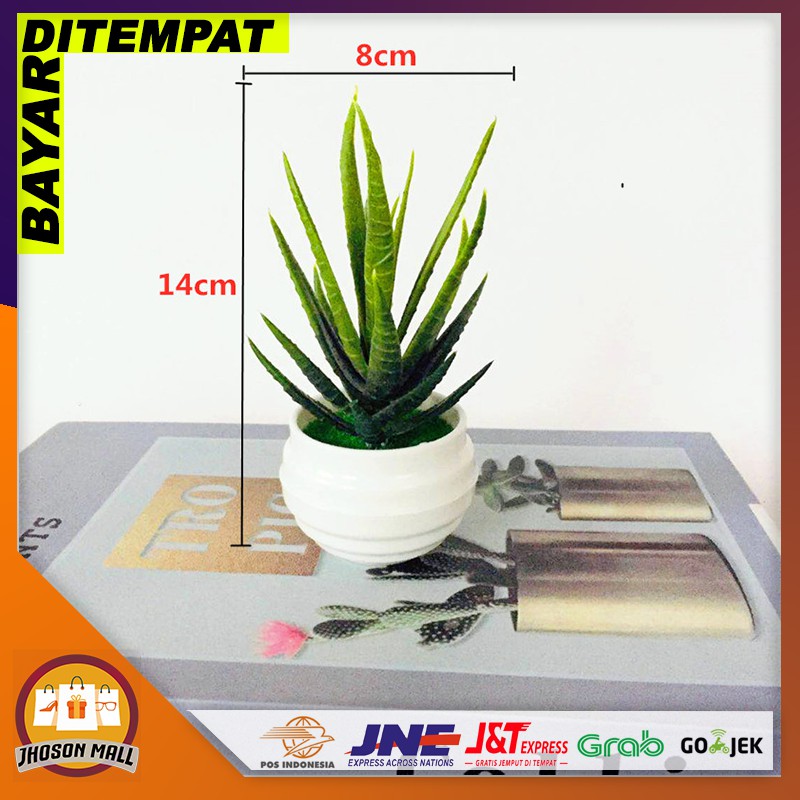 READY JM Pot Bunga Plastik / Tanaman Lidah Buaya Palsu / Bunga Hias Dekorasi Rumah Import Jakarta PB