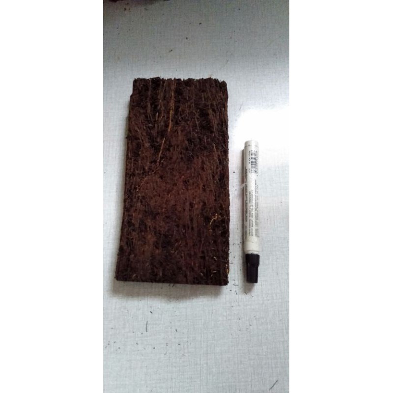 papan pakis media anggrek