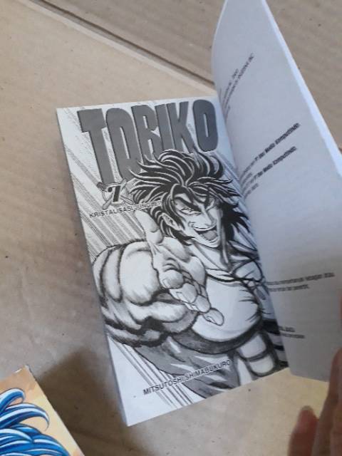 toriko 1-13 og