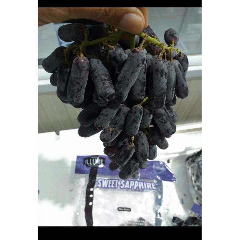 

OPENN PO! ANGGUR SWEET SAPHIRE 1 KG @90Rb, YUKK DIORDERR BUND!