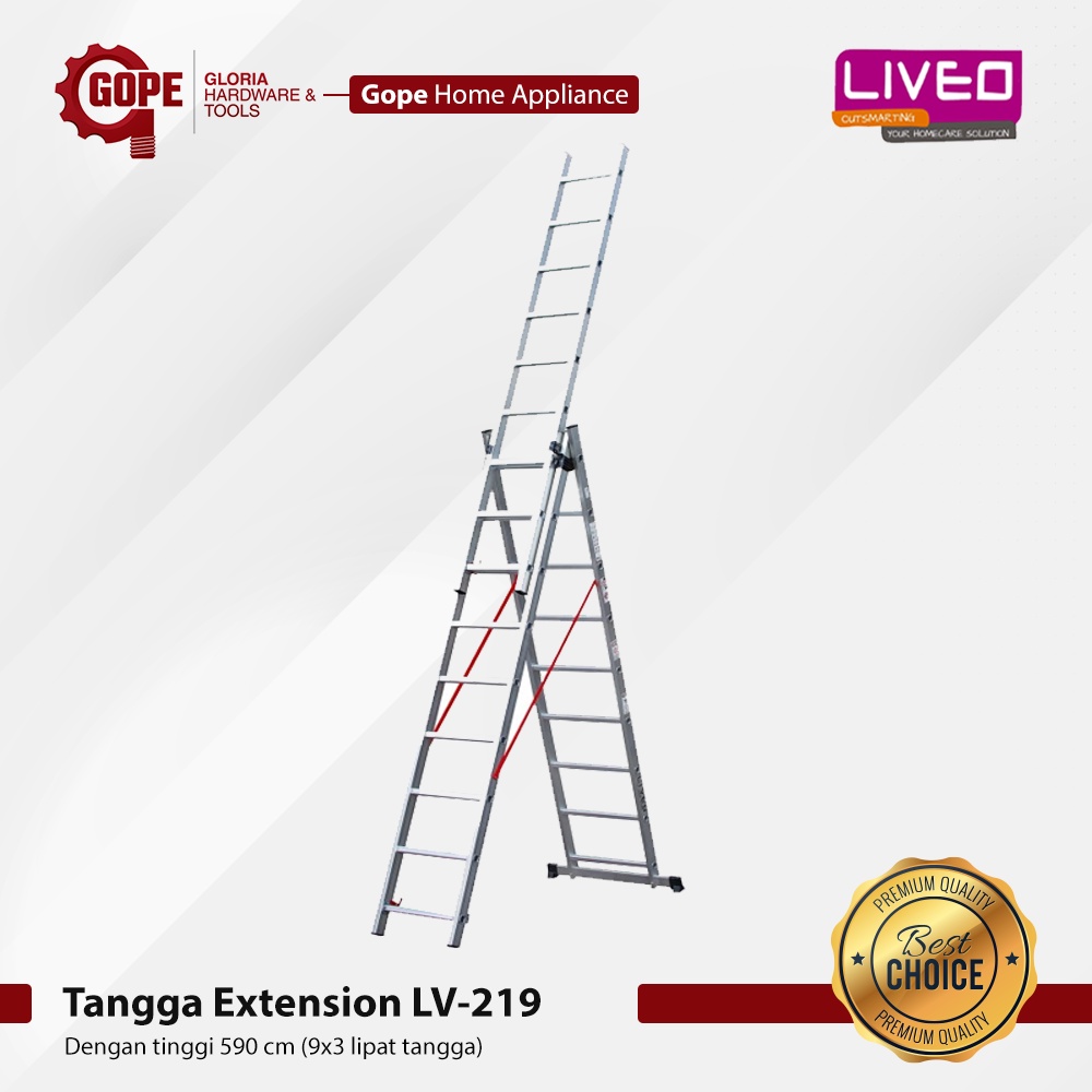 Tangga Extension Ladder Liveo LV 219