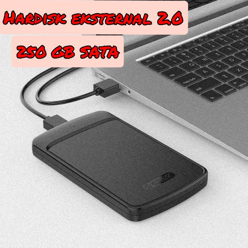 Hardisk Eksternal 250 Gb Sata