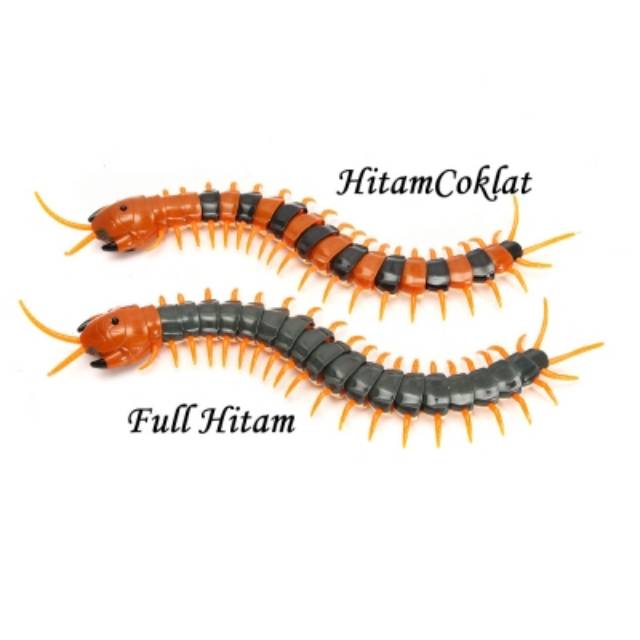 Remote Control Giant Scolopendra / Kelabang / Lipan / Centipede