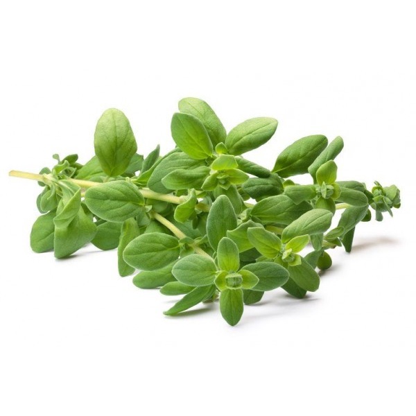 

Marjoram ORGANIK 50gr