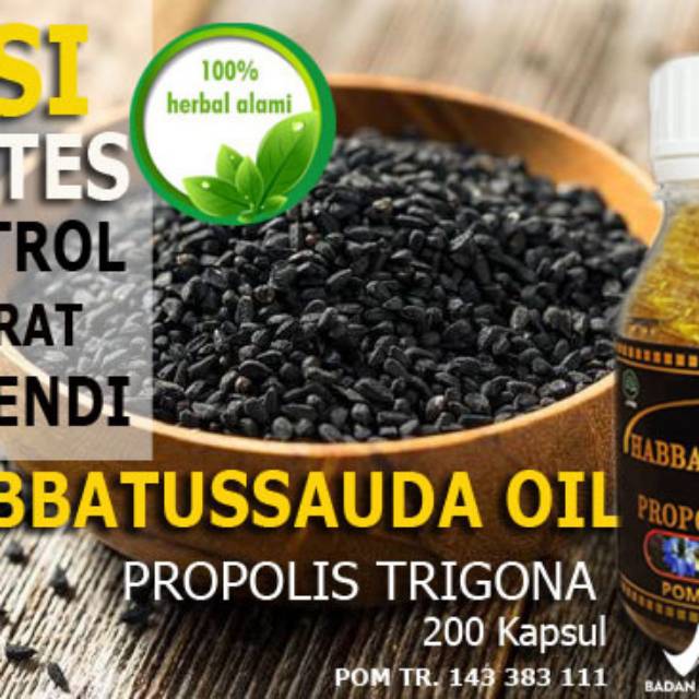 Habbatussauda propolis trigona