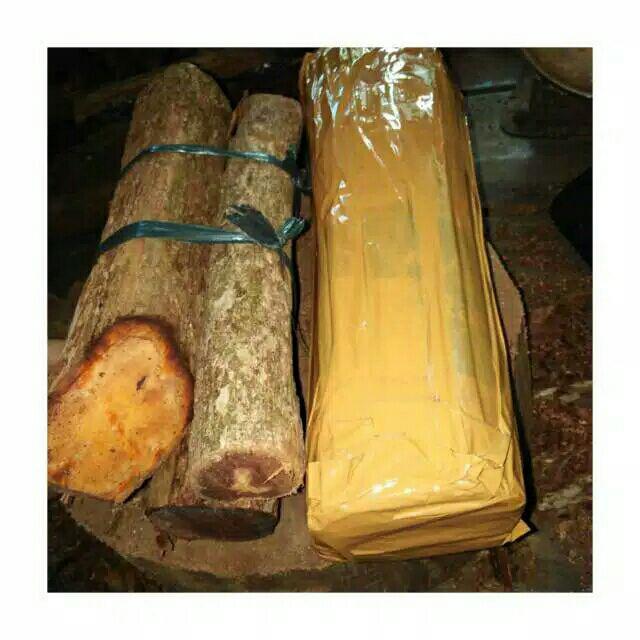 1 KG KAYU BAJAKAH TUNGGAL ASLI KALIMANTAN HERBAL PENYEMBUH 