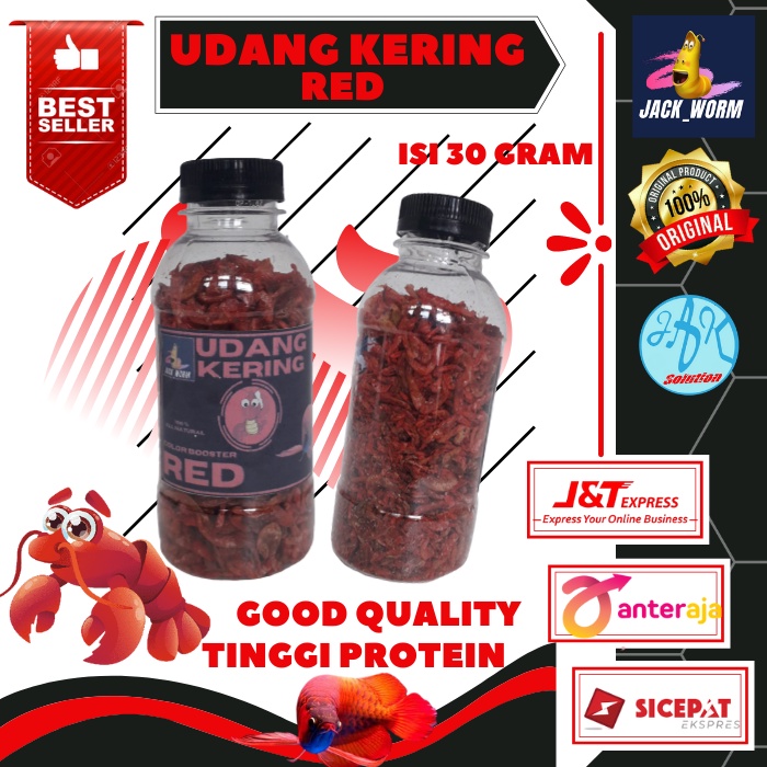 Udang Kering Pakan Ikan Channa Maru Yellow Sentarum Auranti Limbata Pulchra Oscar Tiger Batik Albino