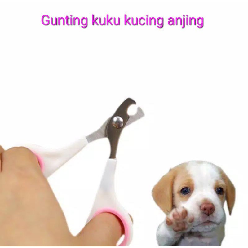 Gunting Kuku Kucing Gunting Kuku Anjing