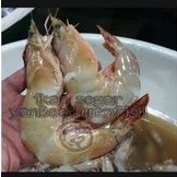 

udang jerebung jumbo