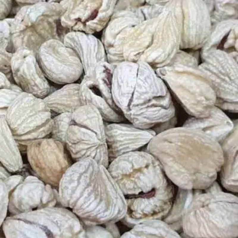 

Chestnut Kering / Lakci 100 Gram