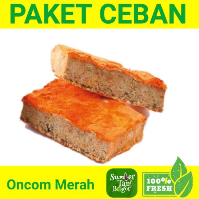 

ONCOM MERAH PER PACK PAKET CEBAN