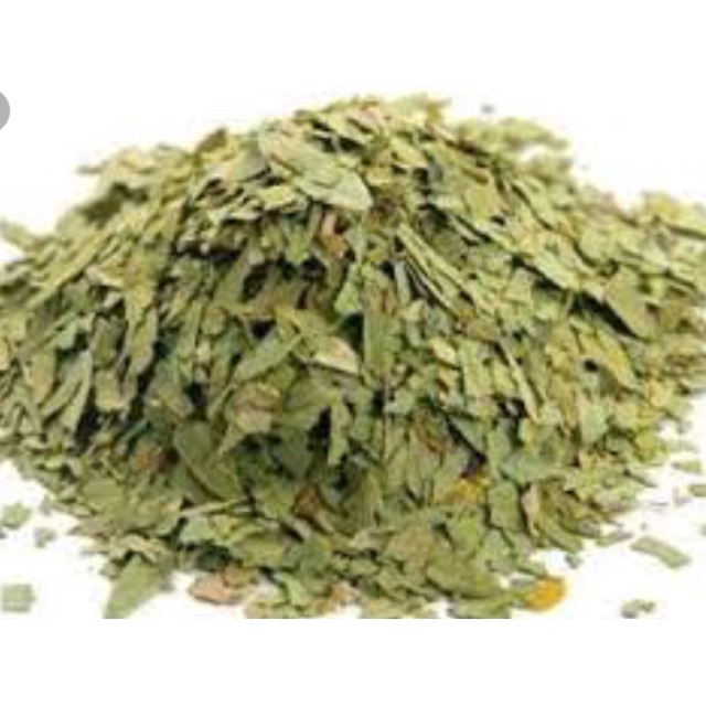 

Daun jati cina