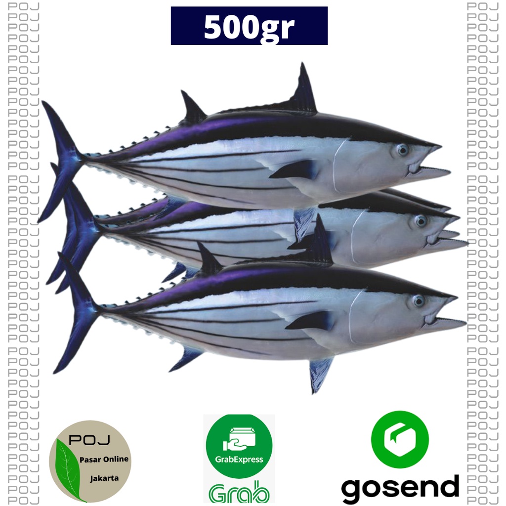 

Ikan Cakalang Segar 500 gr ✓Ikan ✓Ikan ✓Cikalang✓Cakalang Segar✓Ikan Segar✓Ikan Fresh✓Masakan Ikan