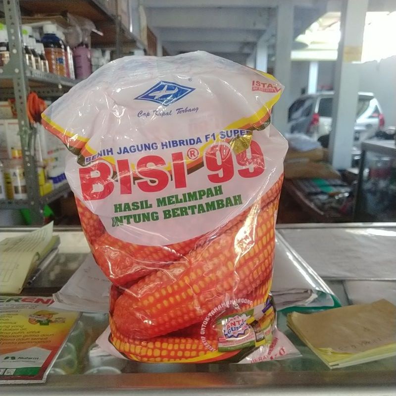 benih jagung bisi 99