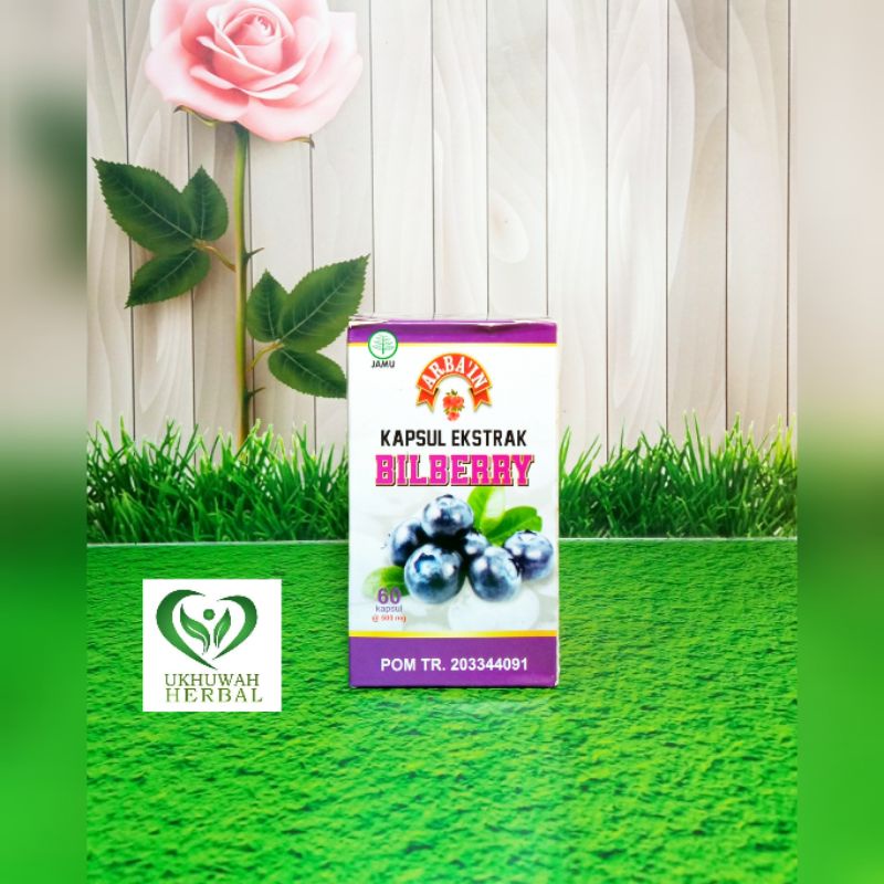 

Kapsul Ekstrak Bilberry 60kpsl