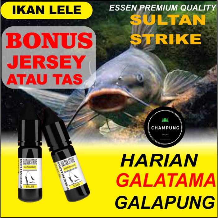 ESSEN PANCING IKAN LELE SULTAN STRIKE PAKET SIANG MALAM UMPAN LOMBA MEMANCING GALATAMA GALAPUNG HARI