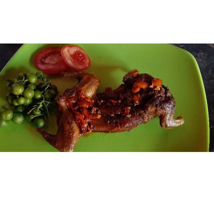 

[KODE PRODUK R6D8541] DAGING TUPAI UNGKEUP SIAP GORENG PER 1 EKOR - DAGING BAJING KELAPA - DAGING TUPAI KELAPA SIAP GORENG