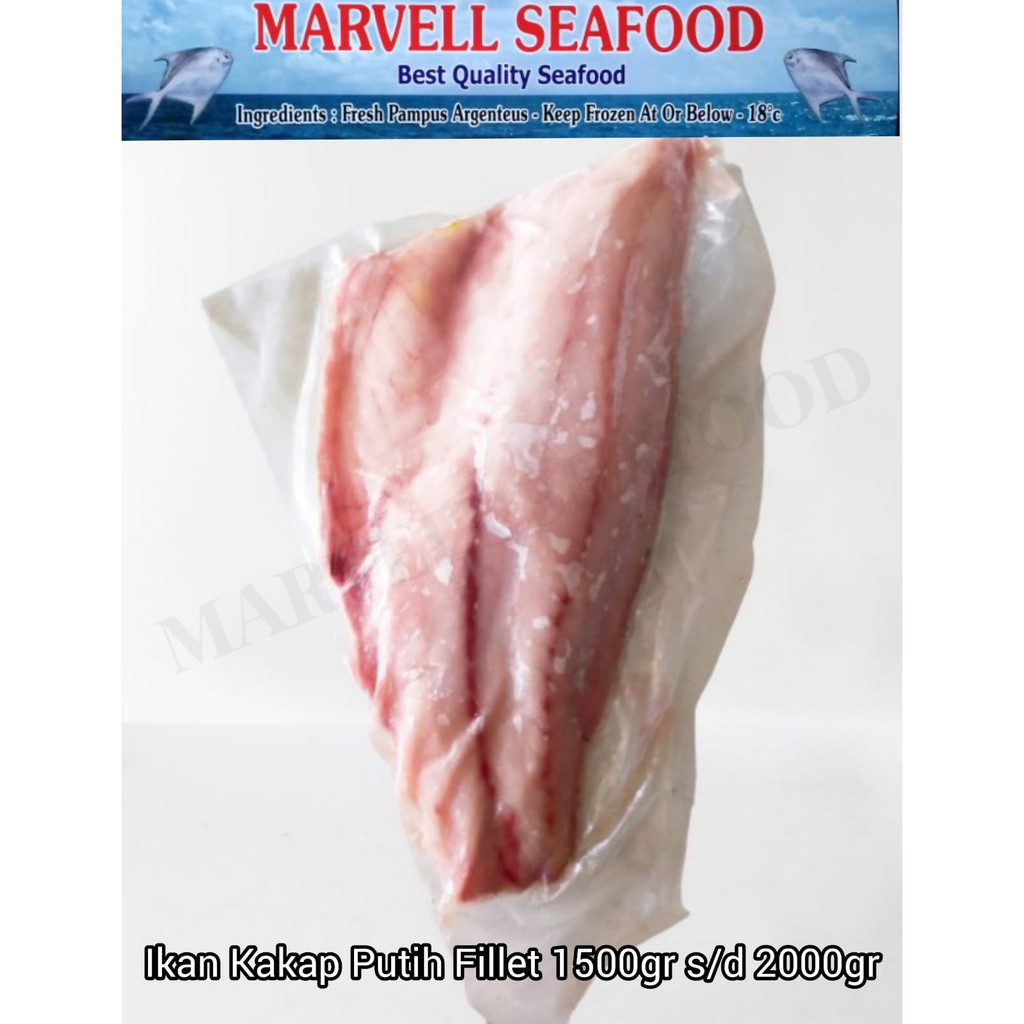Ikan Kakap Putih Fillet 1KG