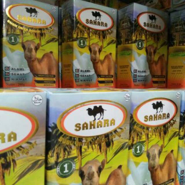 

Susu unta/susu onta sahara