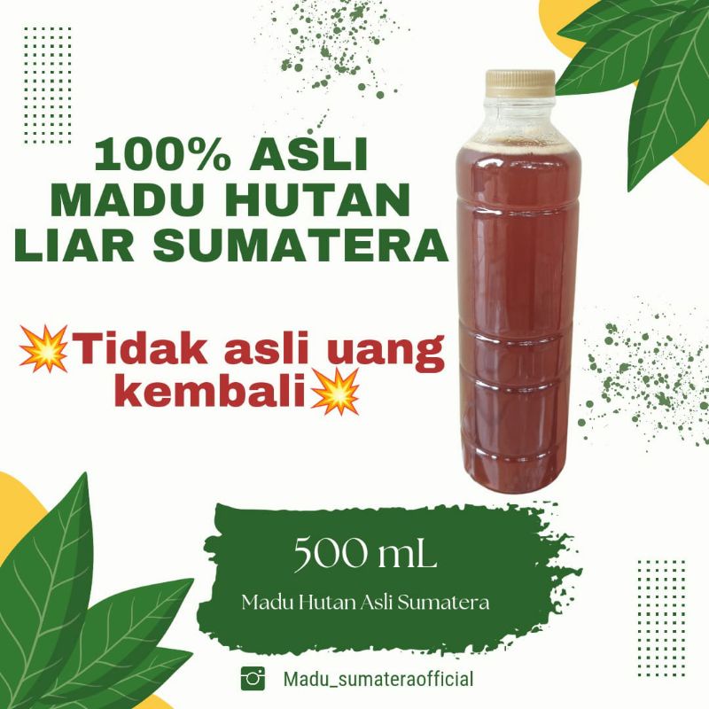 

Madu Hutan Liar Sumatra/Musi Banyuasin