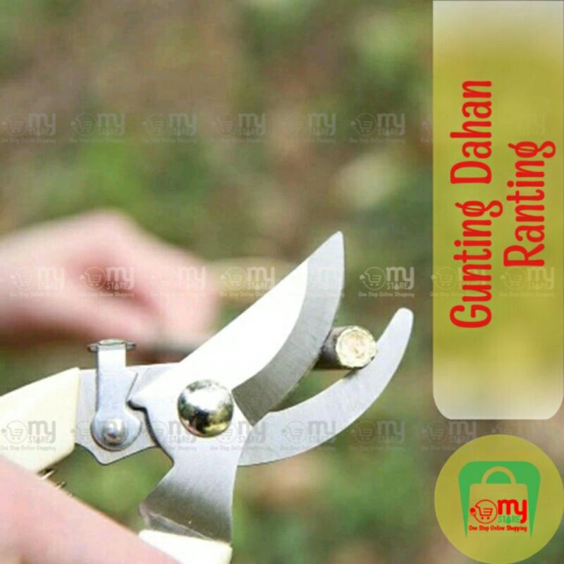 

Gunting Dahan Ranting / Alat Potong Ranting