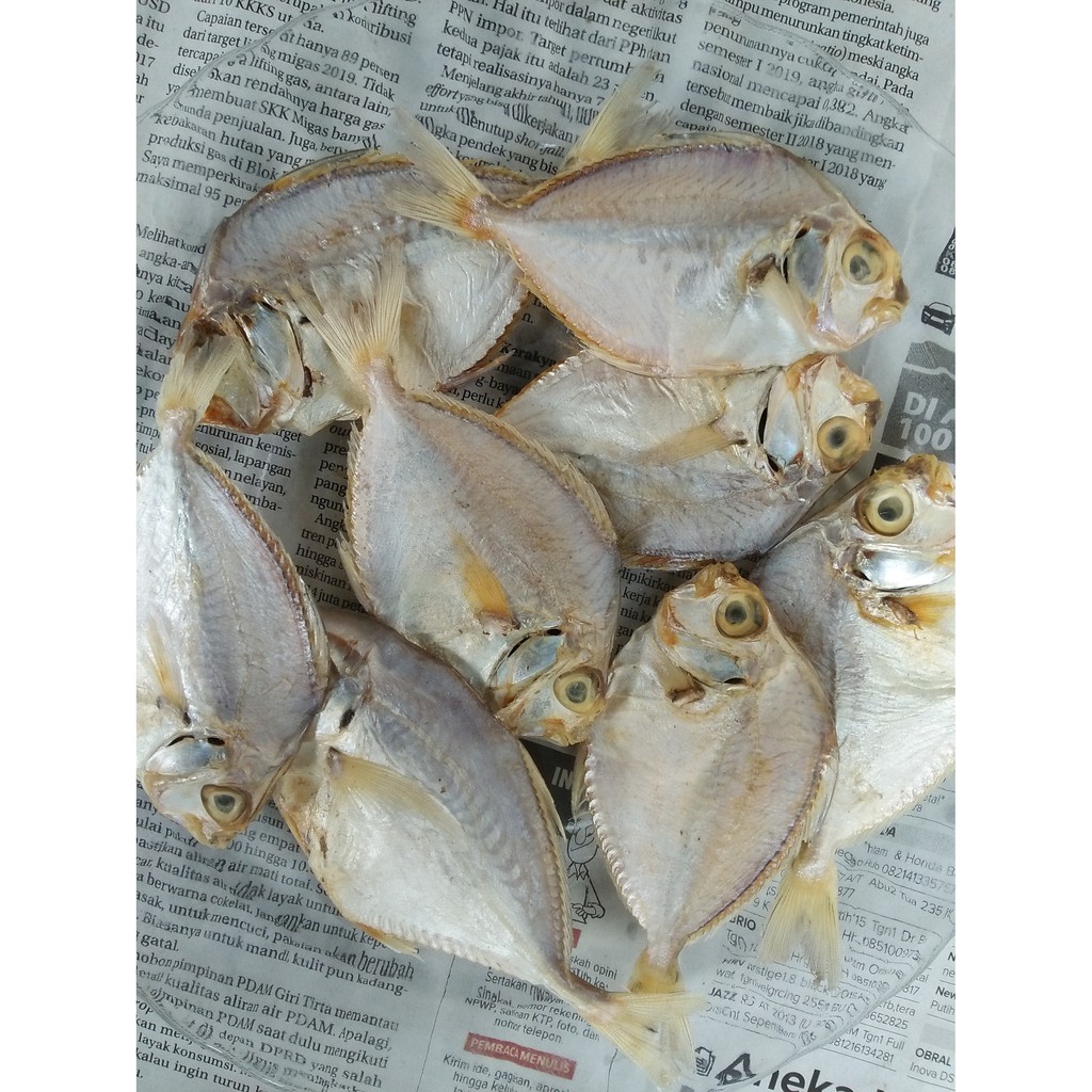 

ANEKA IKAN KERING| IKAN ASIN| OLEH-OLEH| IKAN ASIN PETHEK 1KG KHAS TUBAN