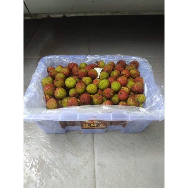 

Leci Madu Curah RRC (5 KG) Fresh Import