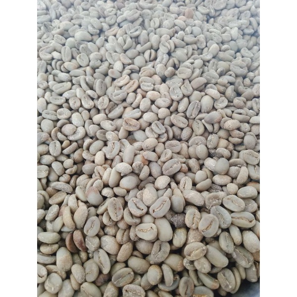 

Arabika luwak liar temanggung