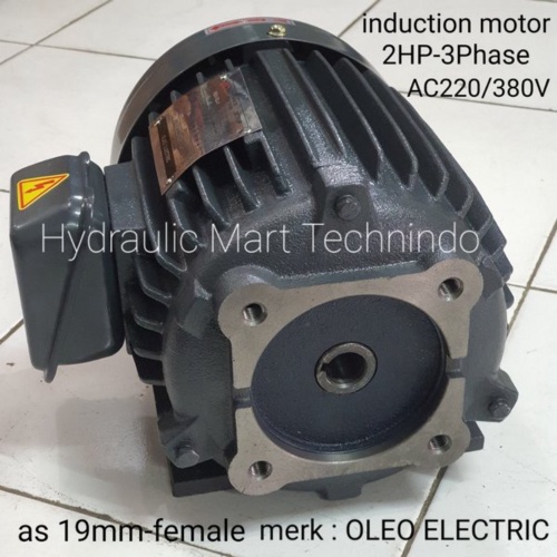 Dinamo 15KW 2HP-3Phase-4Poles AC220/380V as 19mm-female merk OLEO ELECTRIC -  for Variable Vanepump 