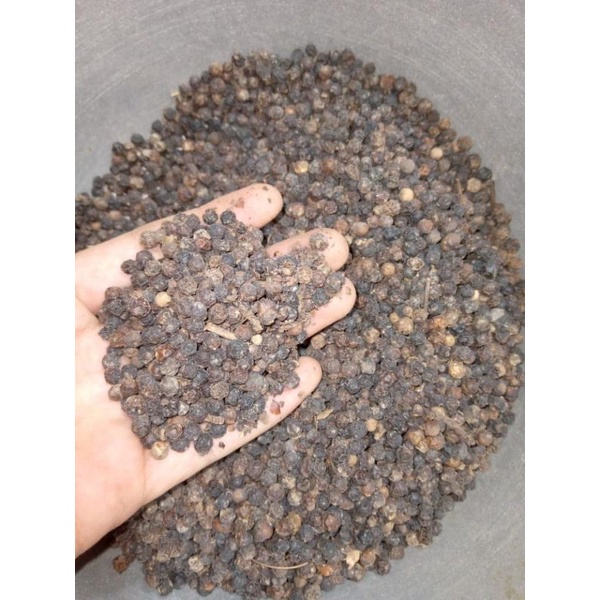 LADA HITAM KERING 1KG