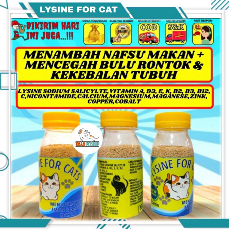 Vitamin Lysine For Cat Murah Penggemuk dan Bulu Kucing Penumbuh Bulu Kucing Pelebat Bulu Obat Bulu Kucing Rontok